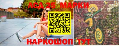 альфа пвп Новодвинск