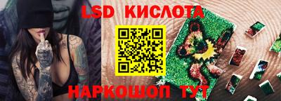 альфа пвп Новодвинск